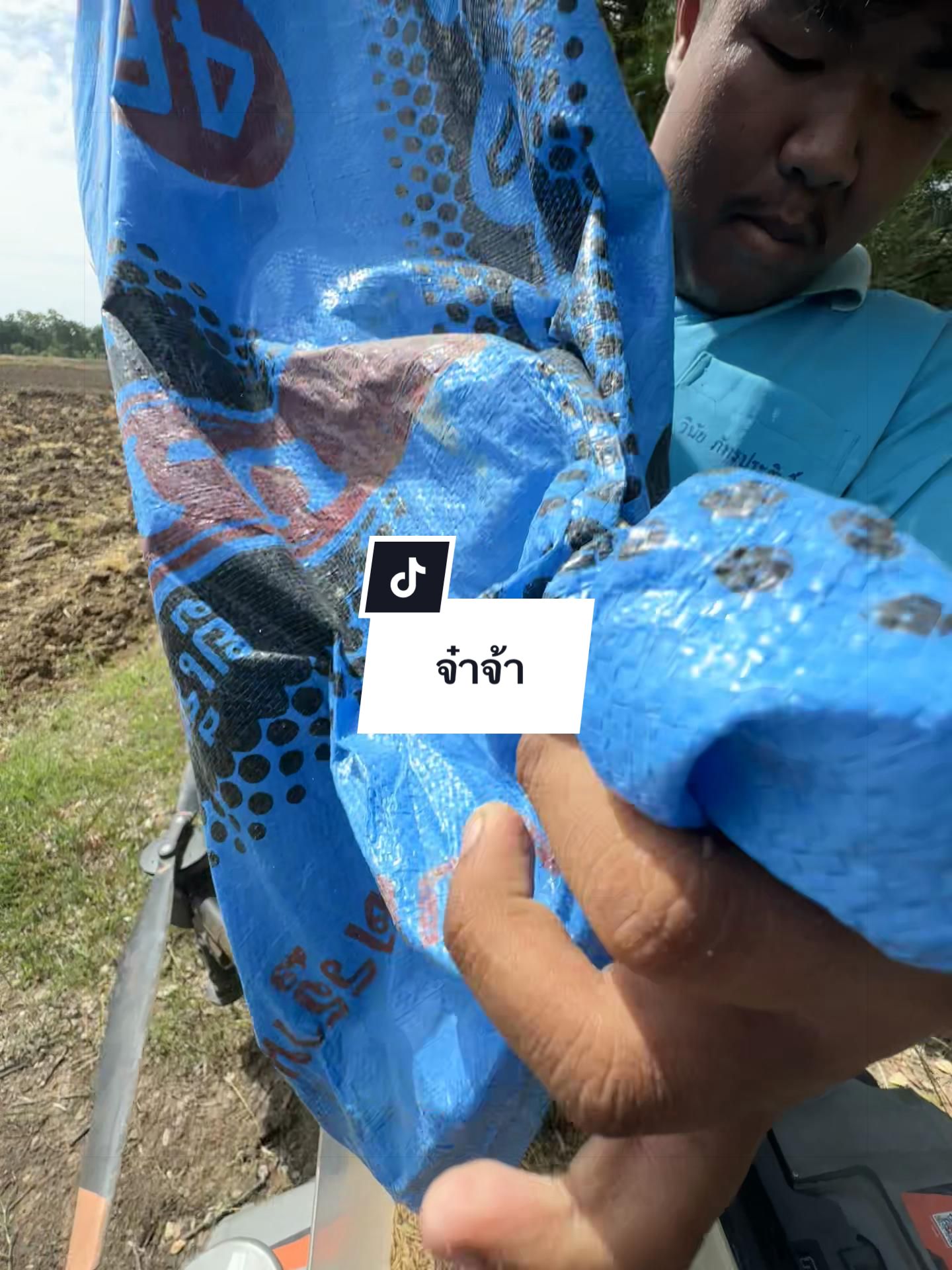 @อาเฮียหลี อาหลีเฮีย