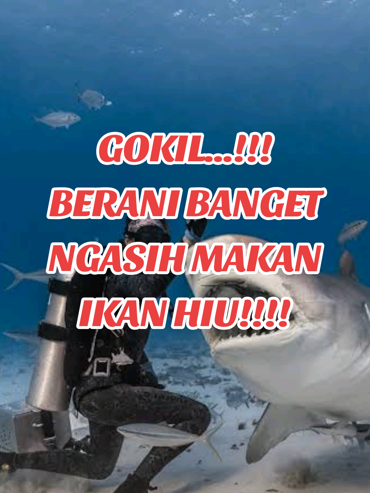 @PENJELAJAH BUMI.