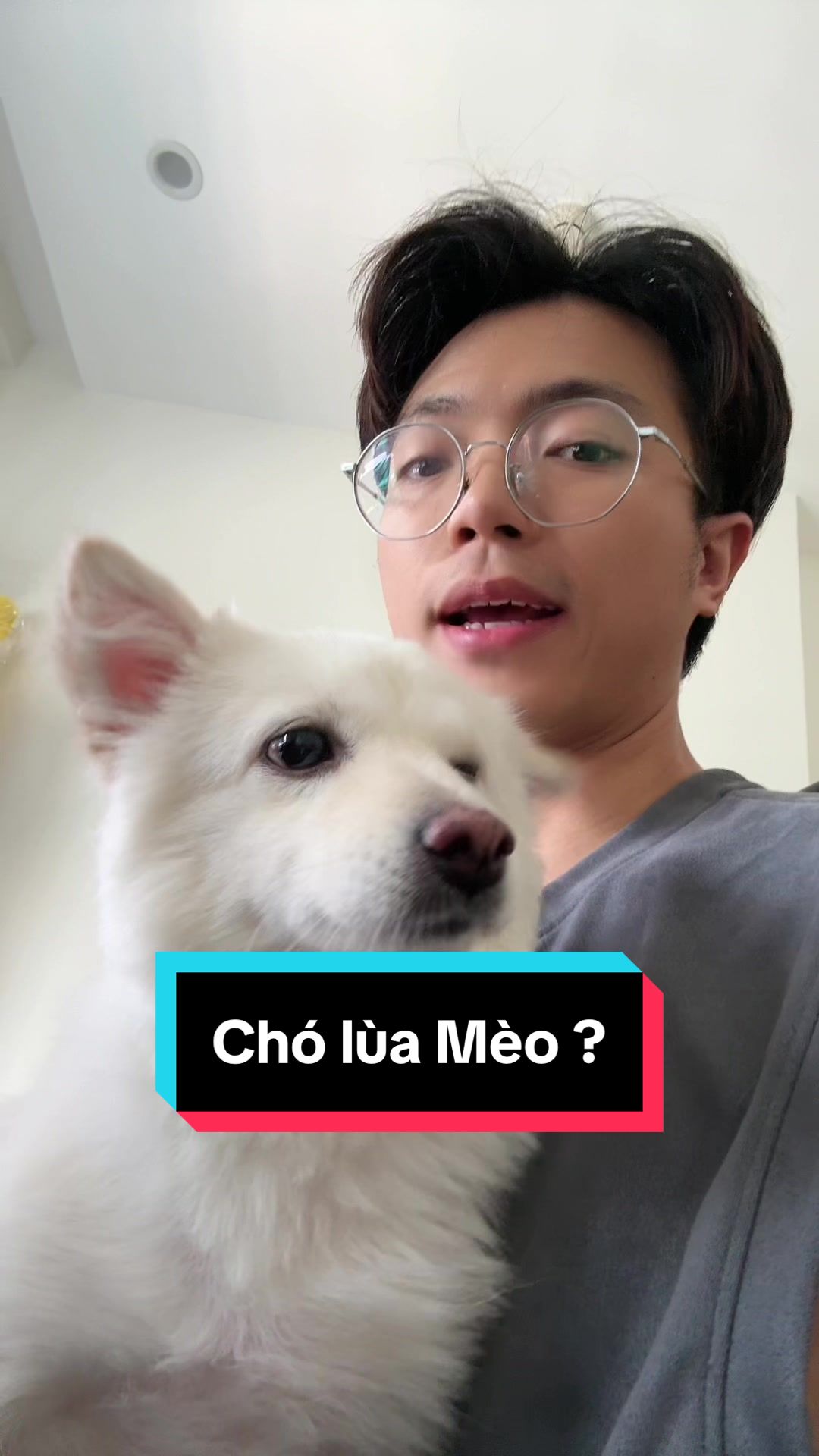 @Mister Vịt