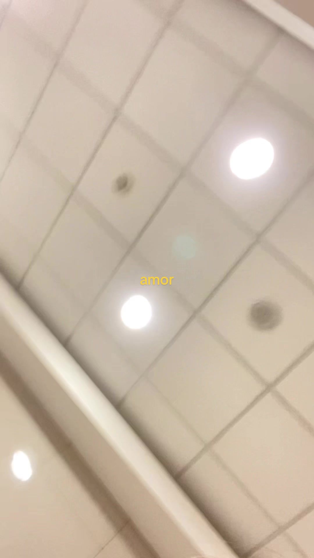 @sara ᐢ..ᐢ