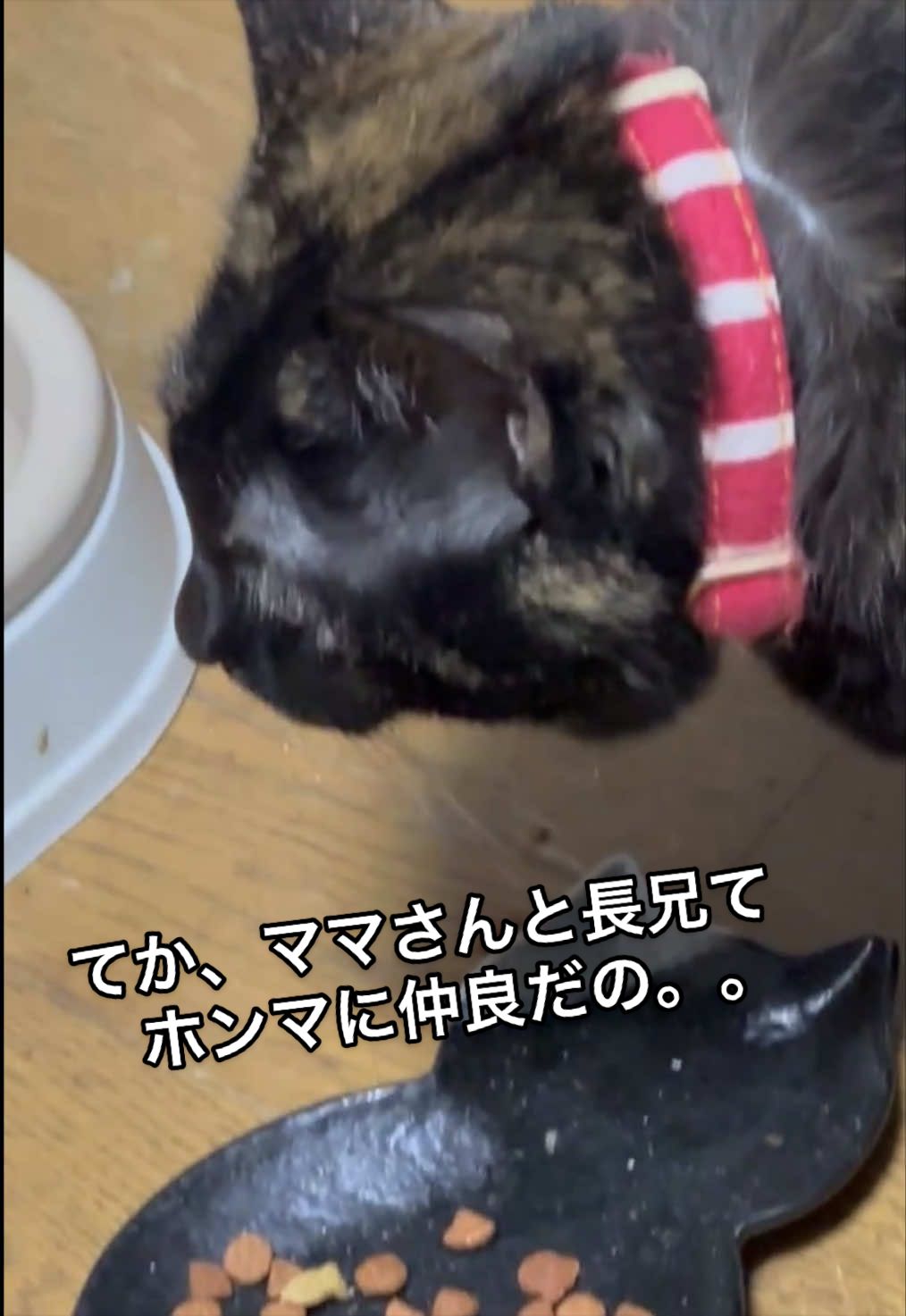 @聴々物語PROJECT