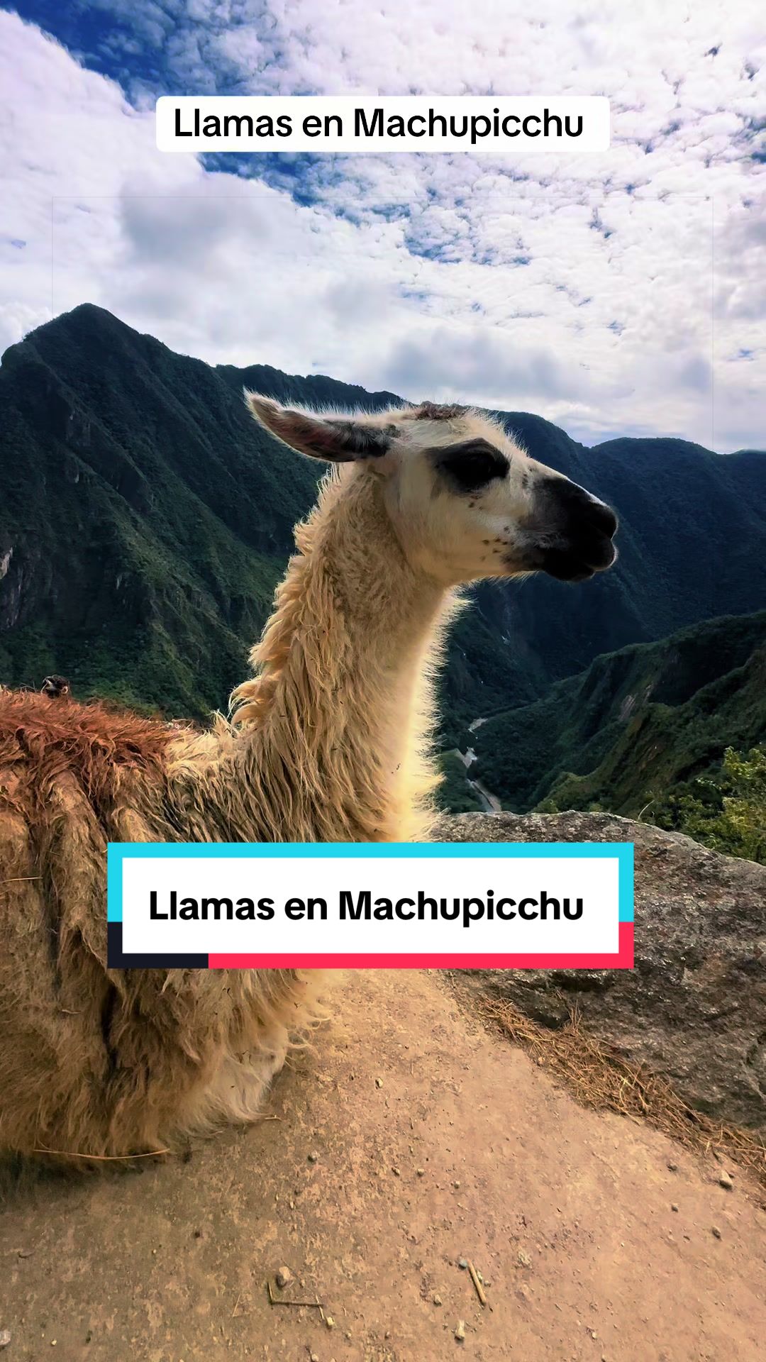 @😃VIAJERO PER&Uacute; 🇵🇪