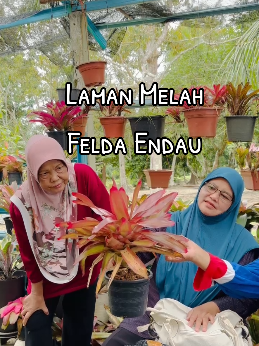 @Samsiah