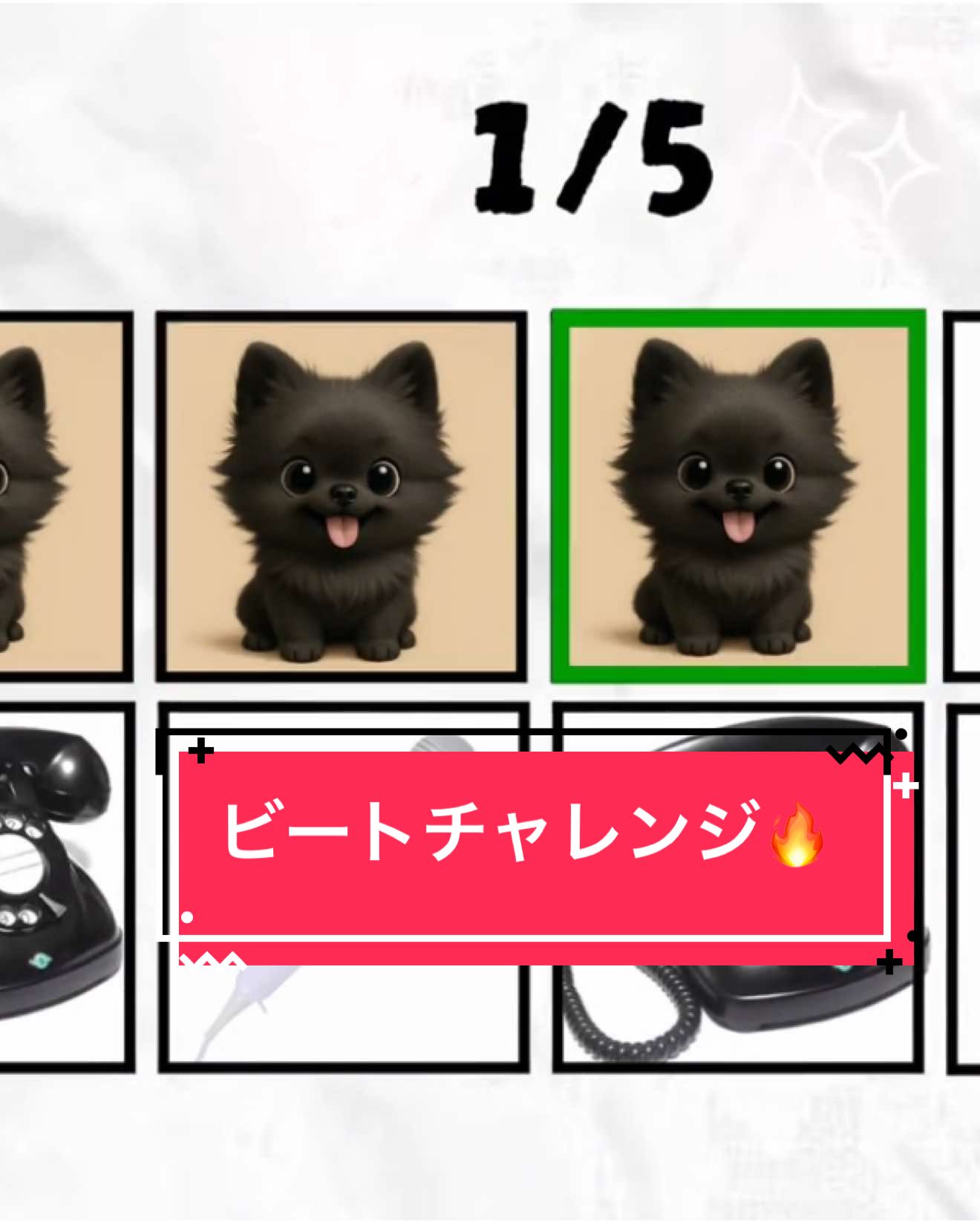 @黒ポメのえんま🐻🍿