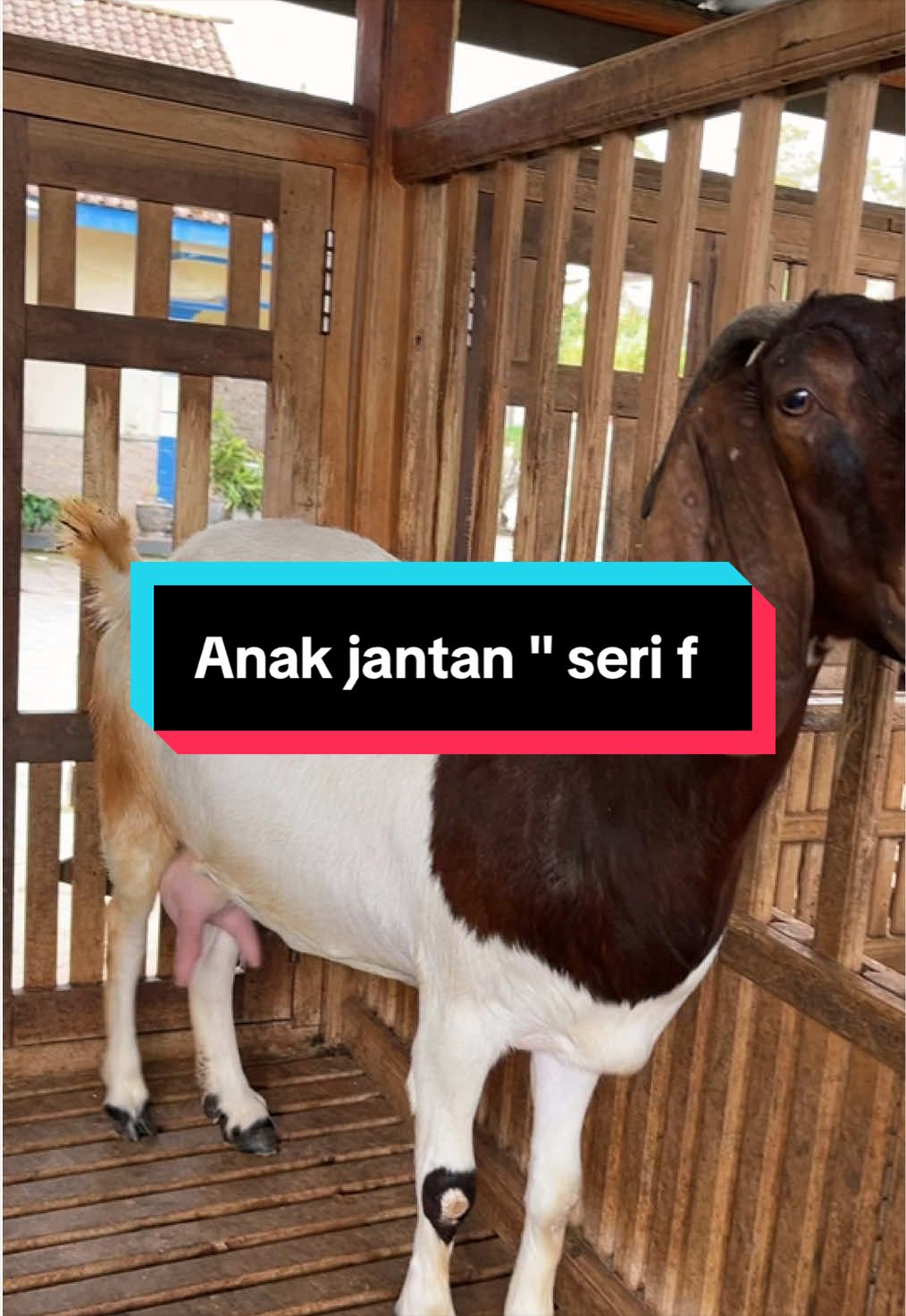 @ALVARIS FARM
