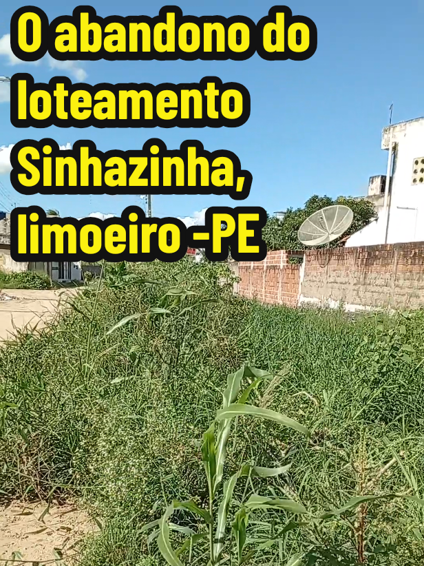 @Creusa Santos