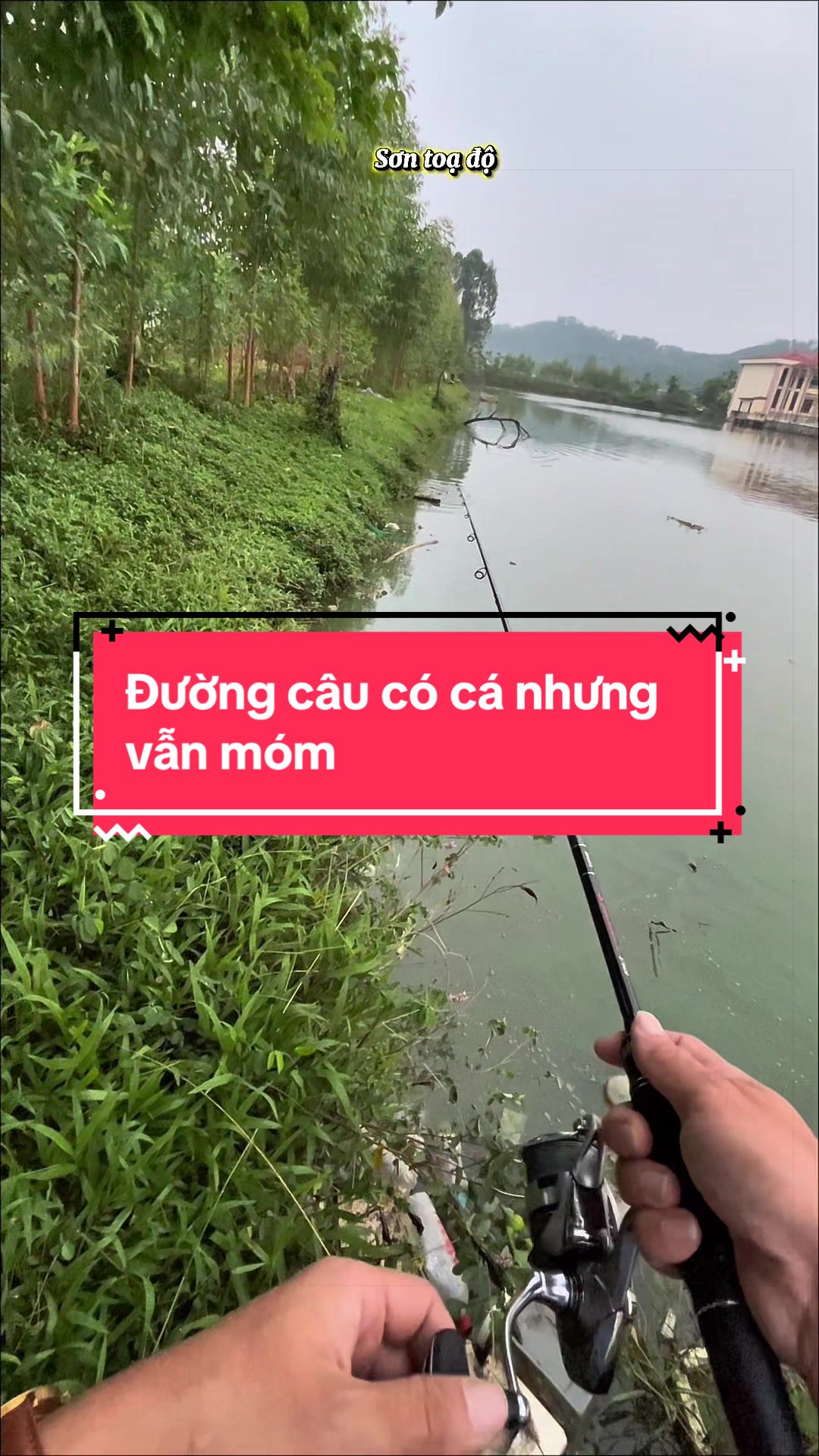 @Sơn toạ độ