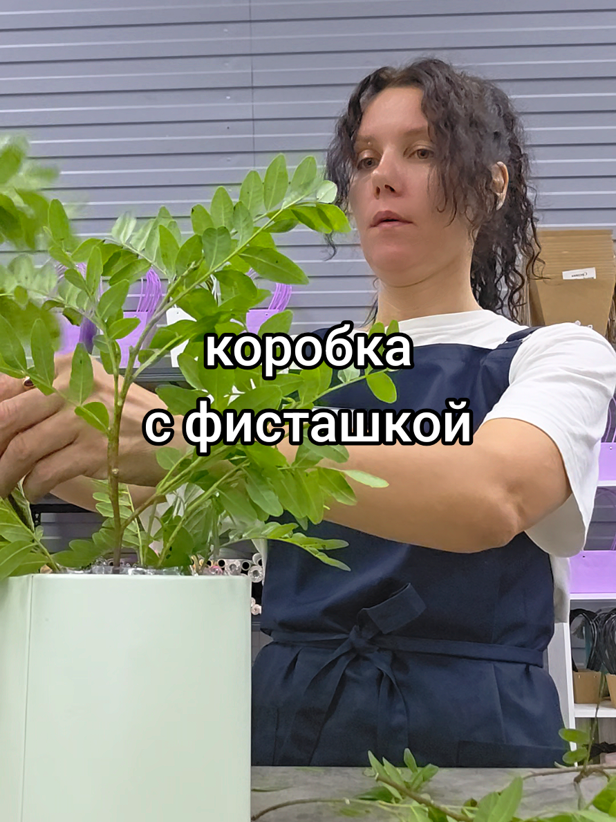@Снежана