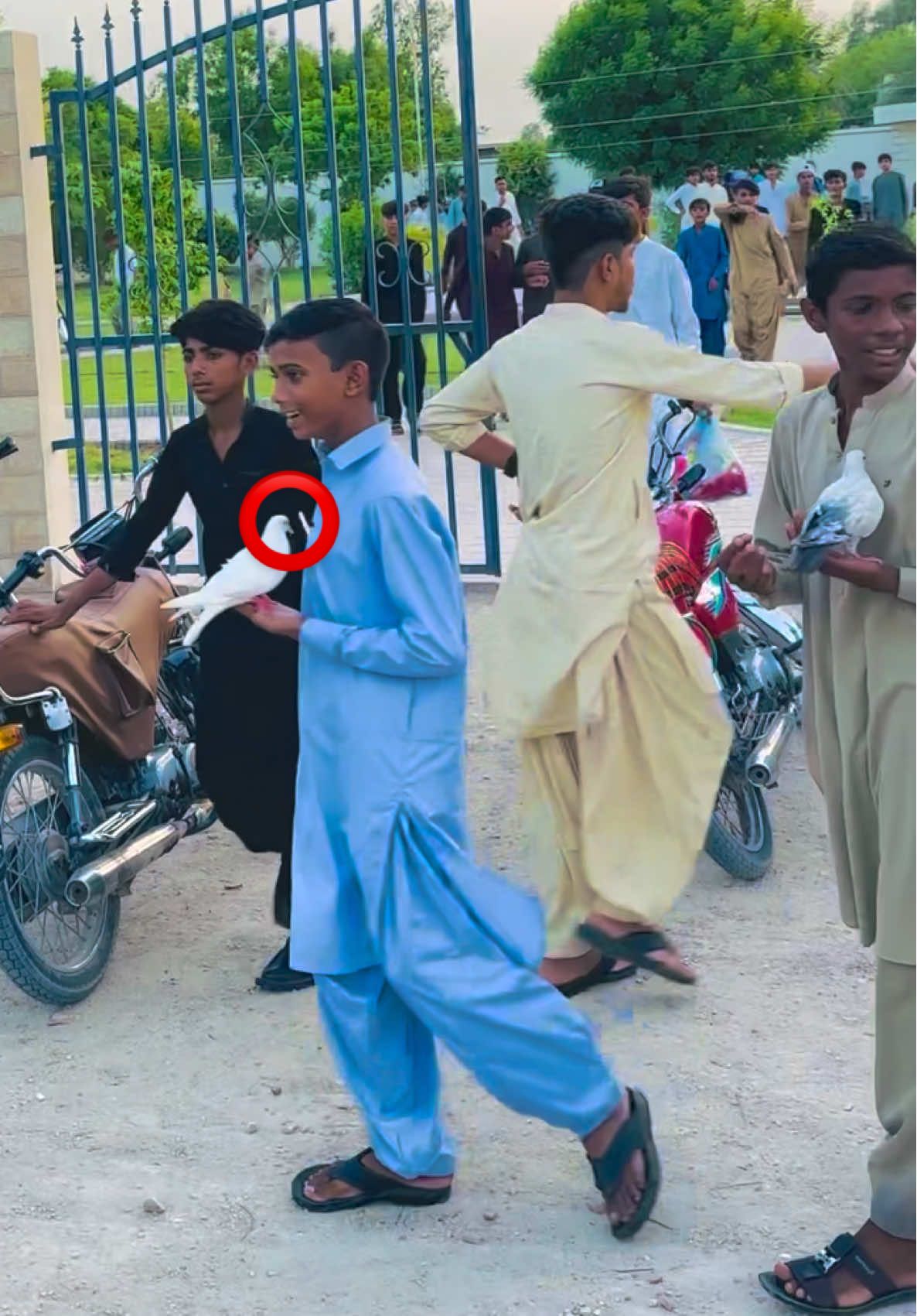 @Usama tunio