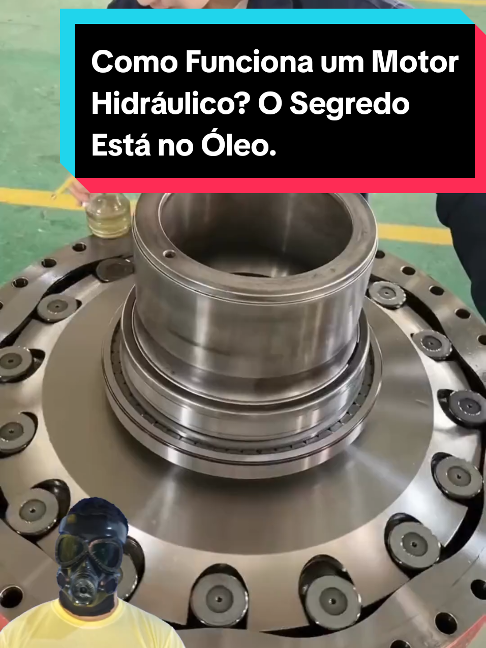 @Mundo da Curiosidades