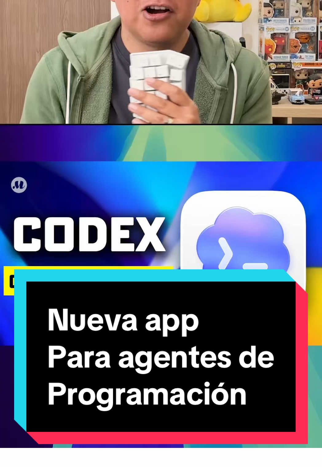 @vidamrr
