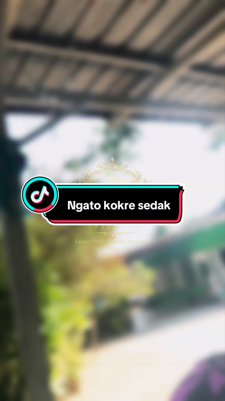 @๐๐๐๐๐๐๐ ๐๐๐๐๐๐๏ธ