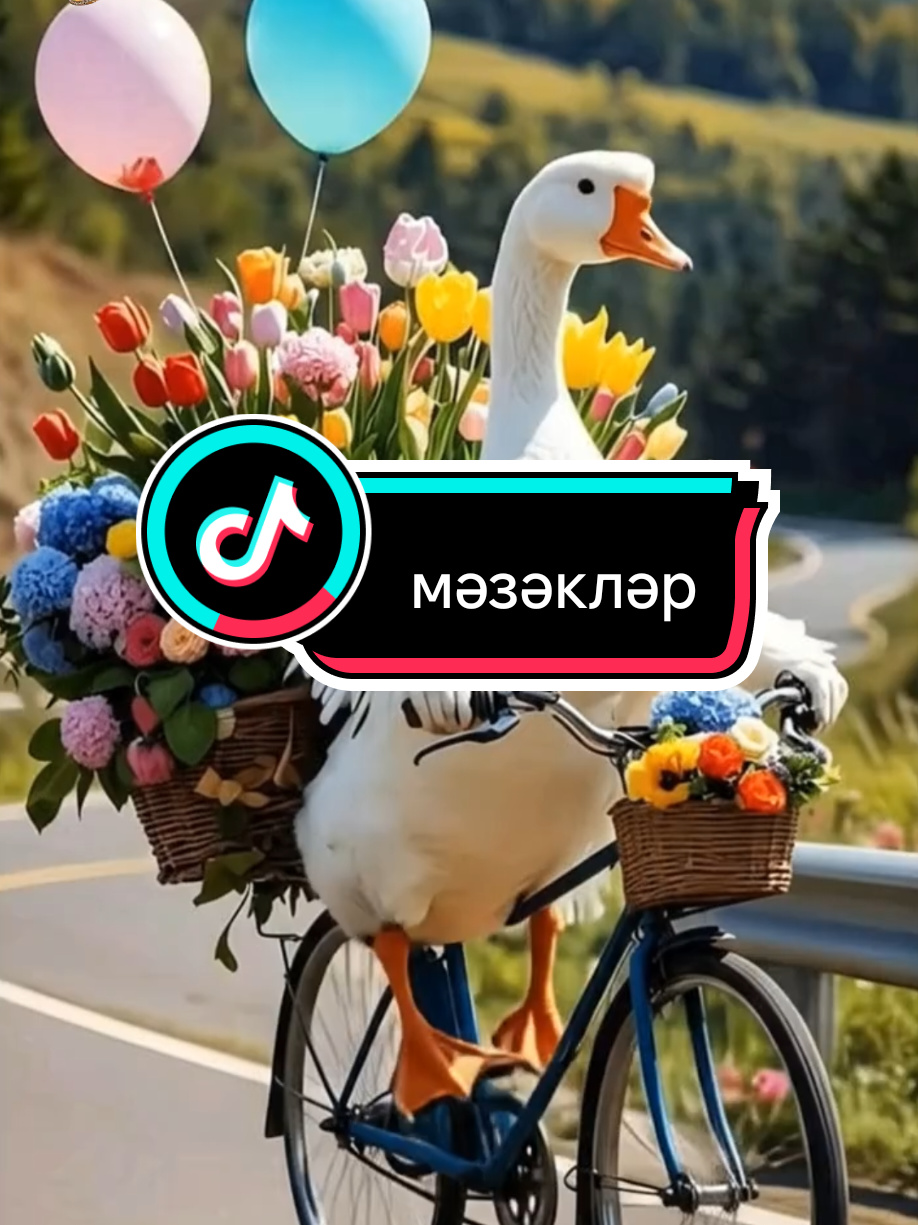 @💕☪татвидео открытки☪︎ 💕