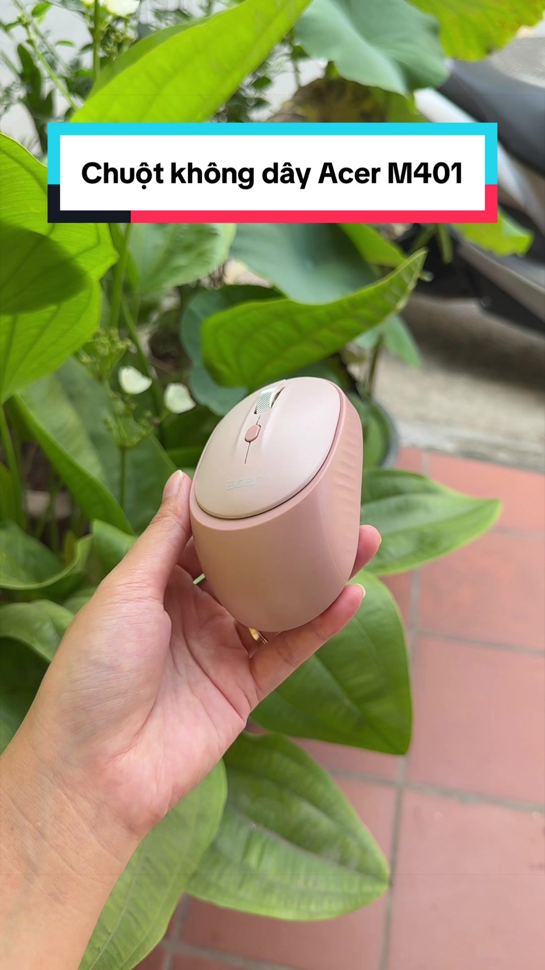 @Tuấn Bình Thường