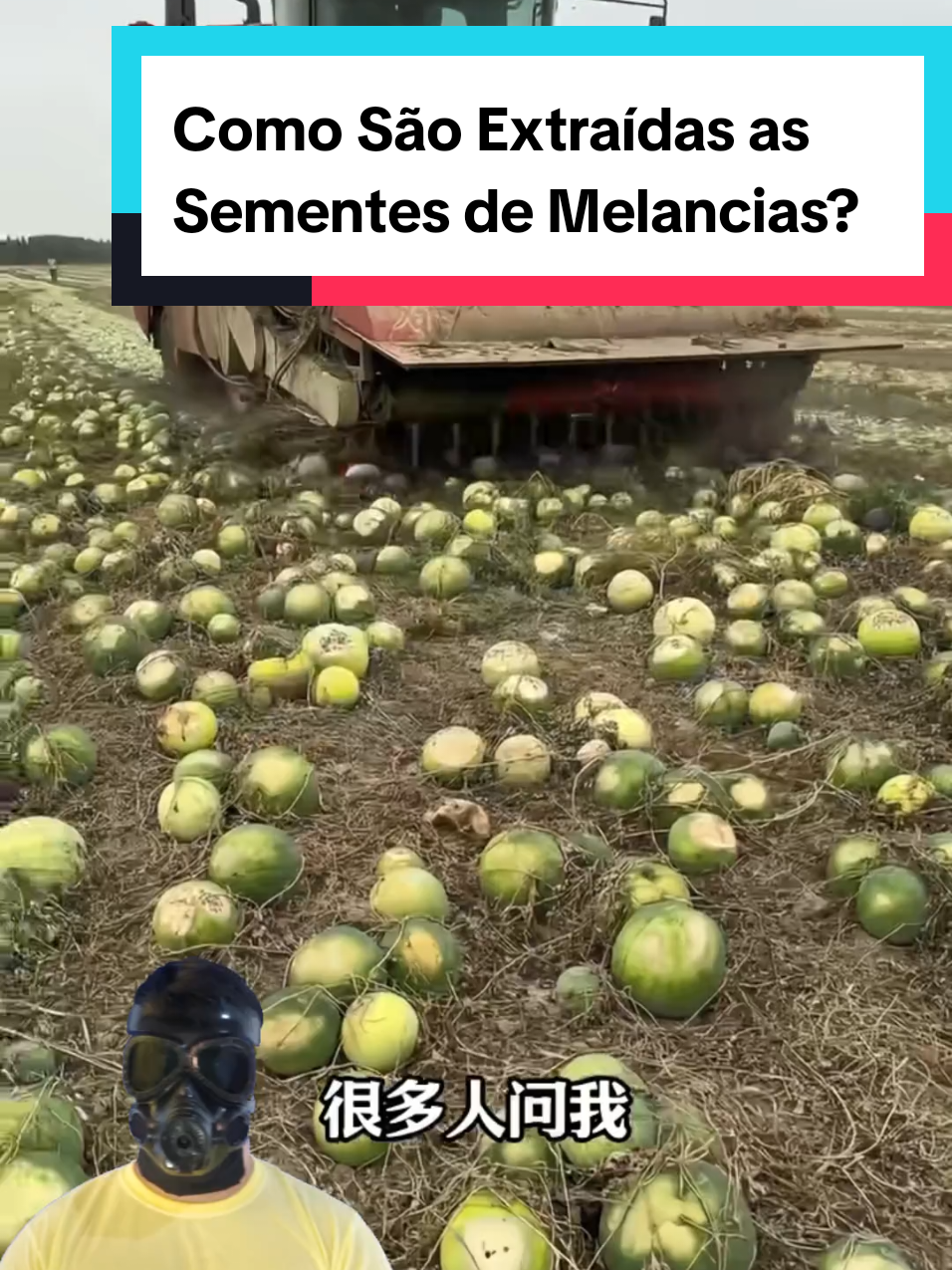 @Mundo da Curiosidades