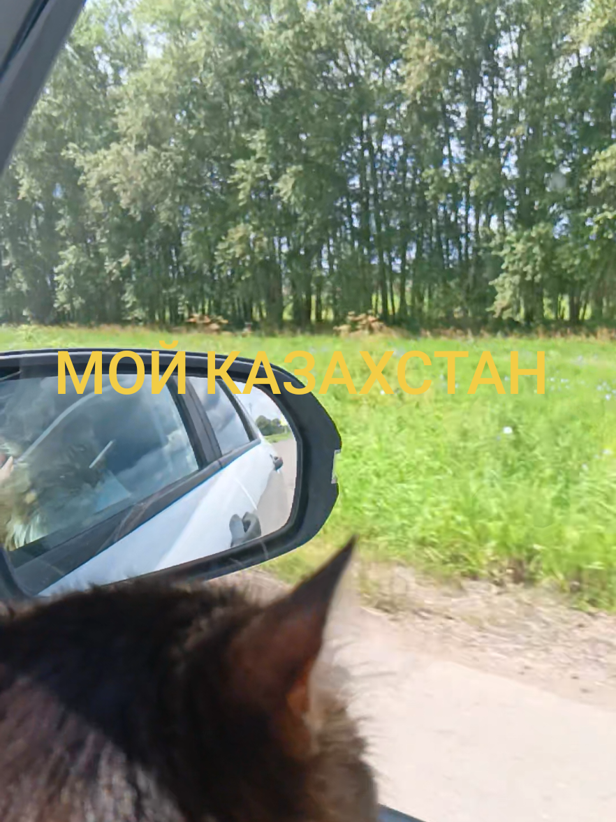 @Шагида888