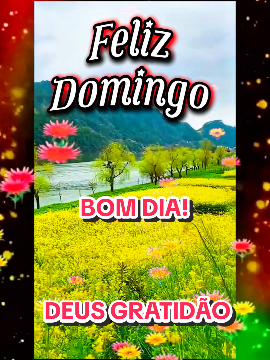 @César A. A. Santos