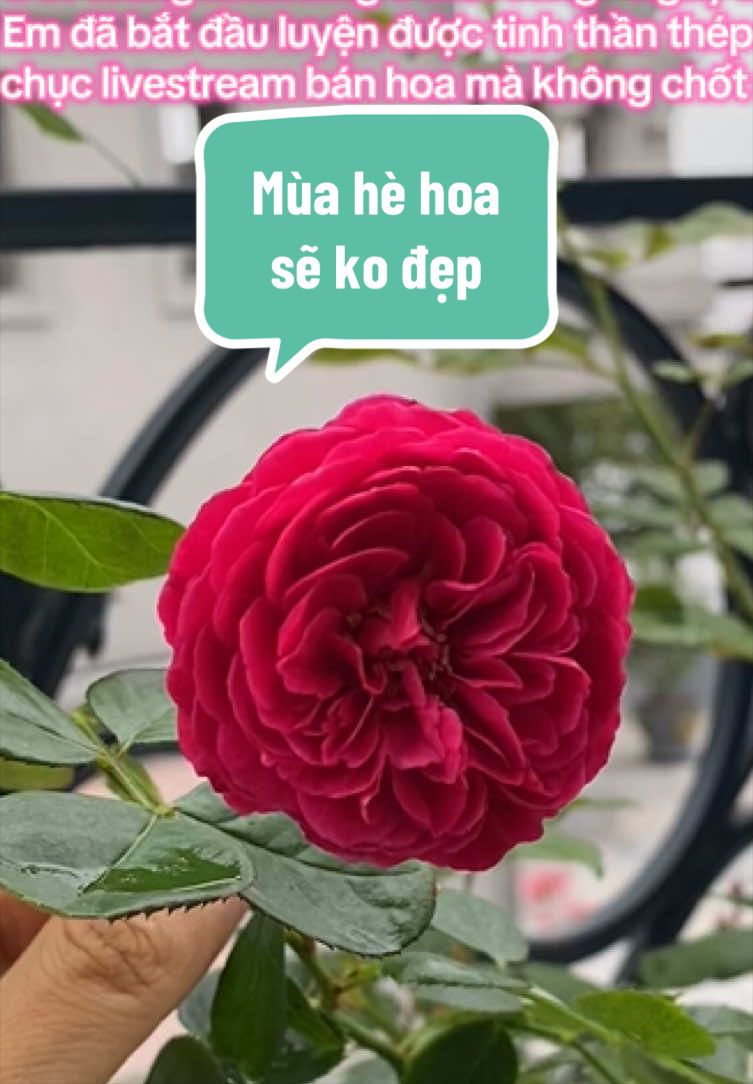 @Gia vị cuộc sống