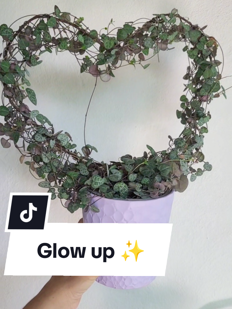 @Plantología🌿