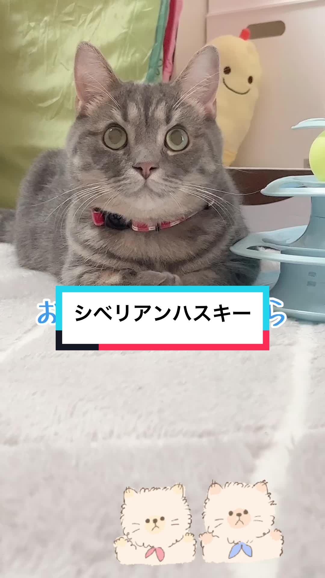 @ふたばꕤ︎︎