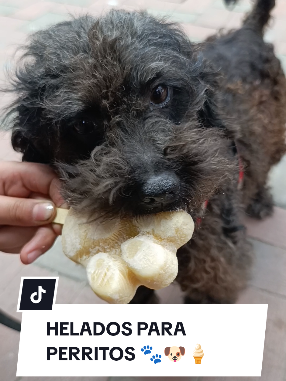 @Doggy Cream