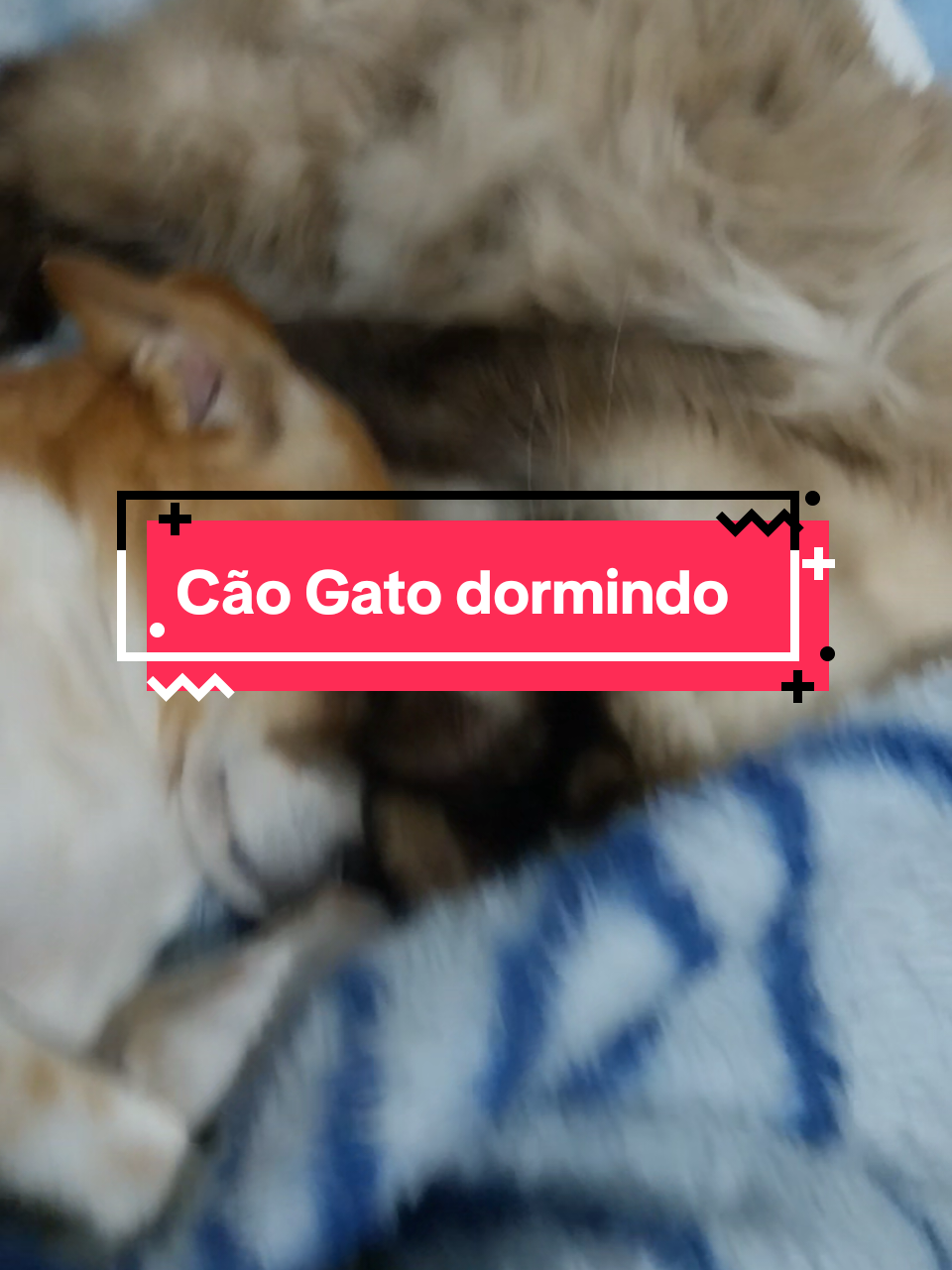 @Carvalho