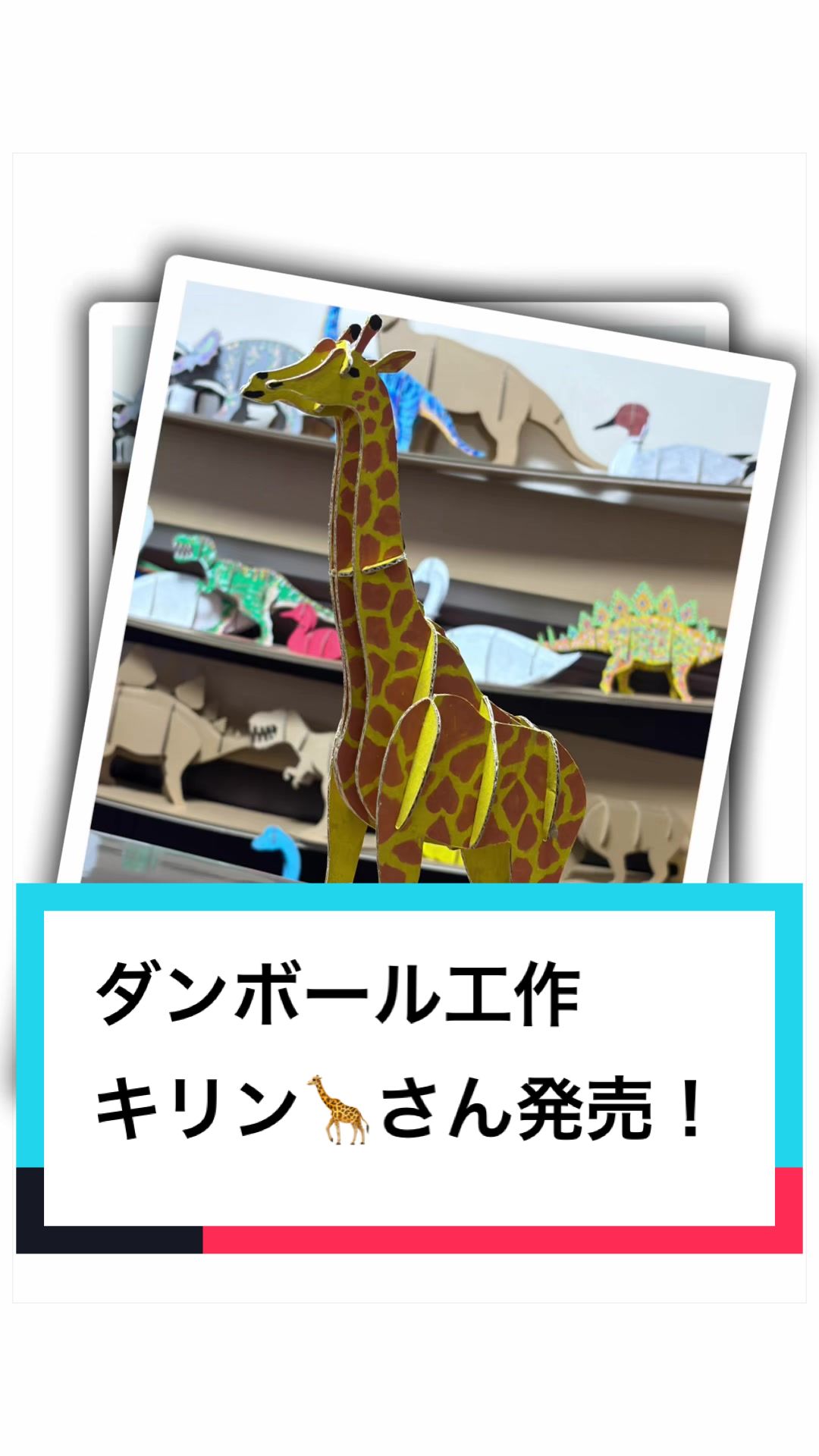 @ダンボール王子🌏♾️🐦&zwj;🔥
