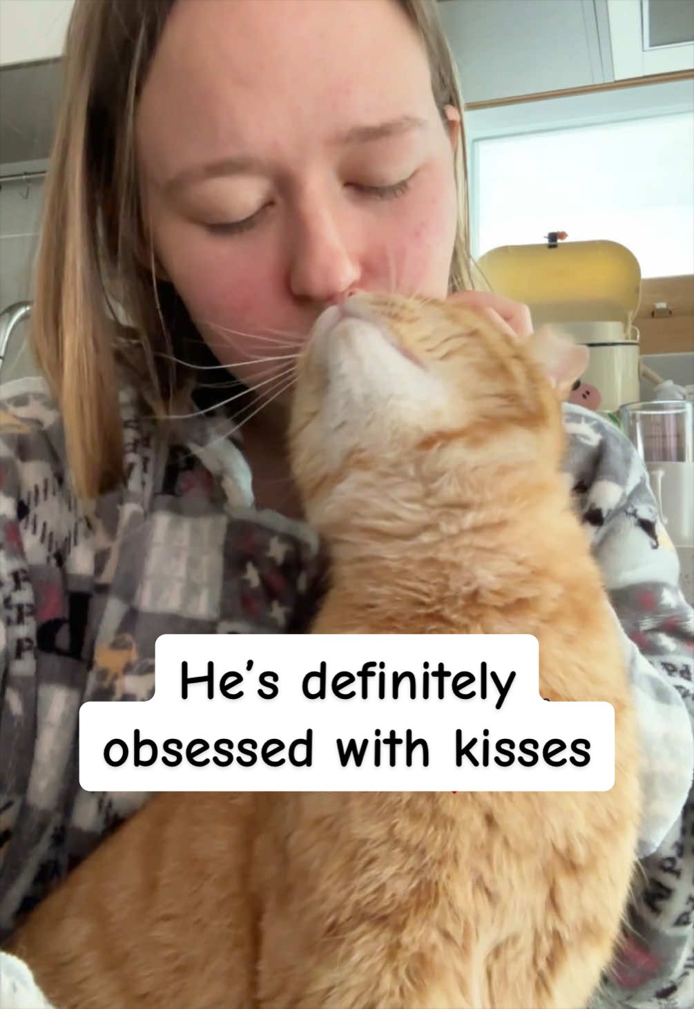 @MyStrayCheese