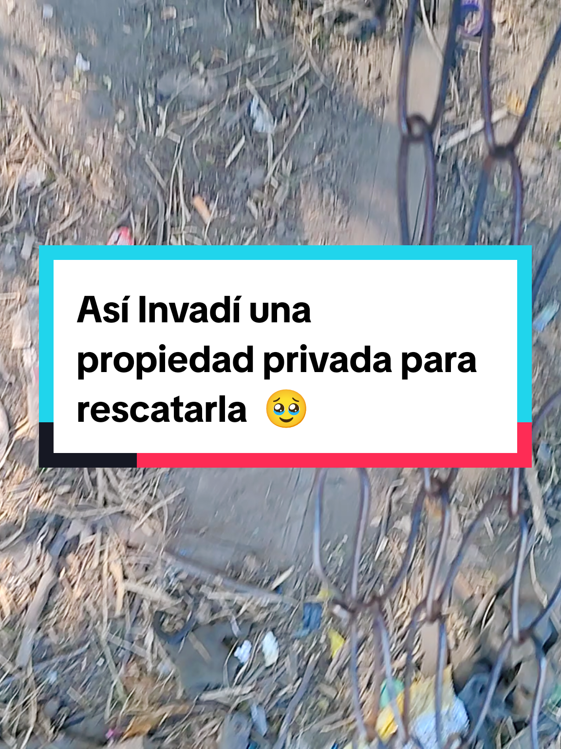 @Lauter