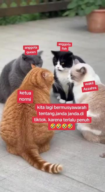 @𝗔𝗯𝗶 𝗟𝗞𝟵𝟲