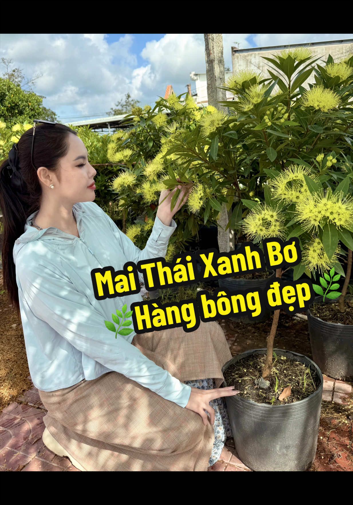 @Tiệm Lá Nhỏ