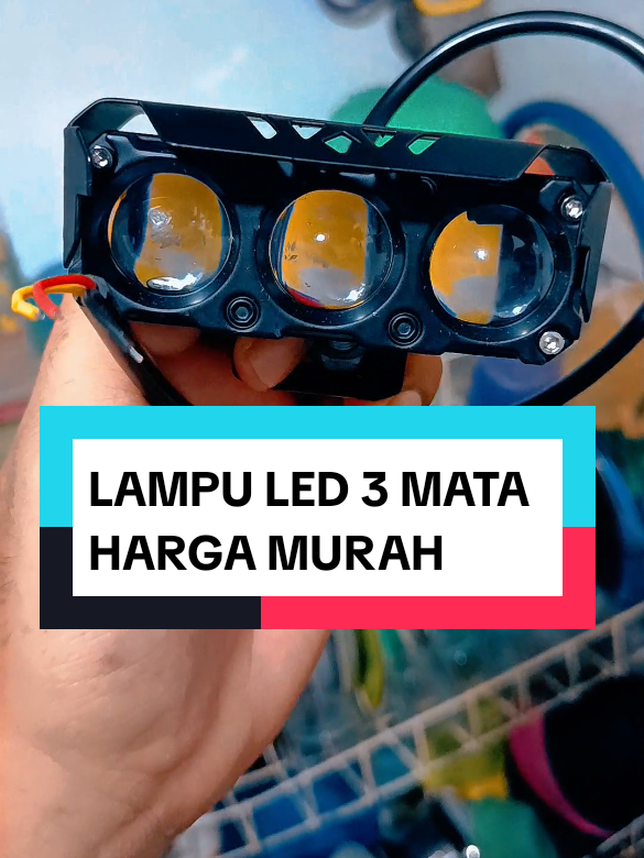 @yunfa lovers