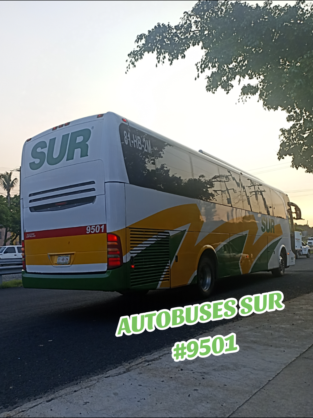 @Busologia Veracruzana 🍀🚍