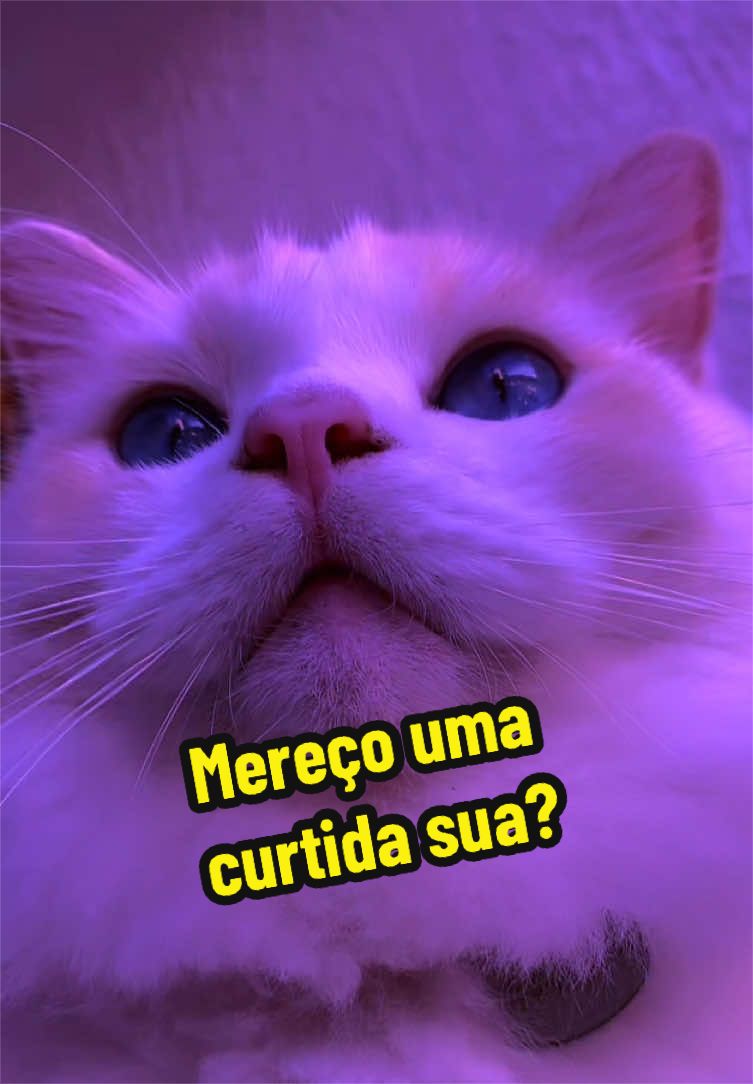 @𝒫𝑒𝓉𝓉𝑒𝓇 ♡