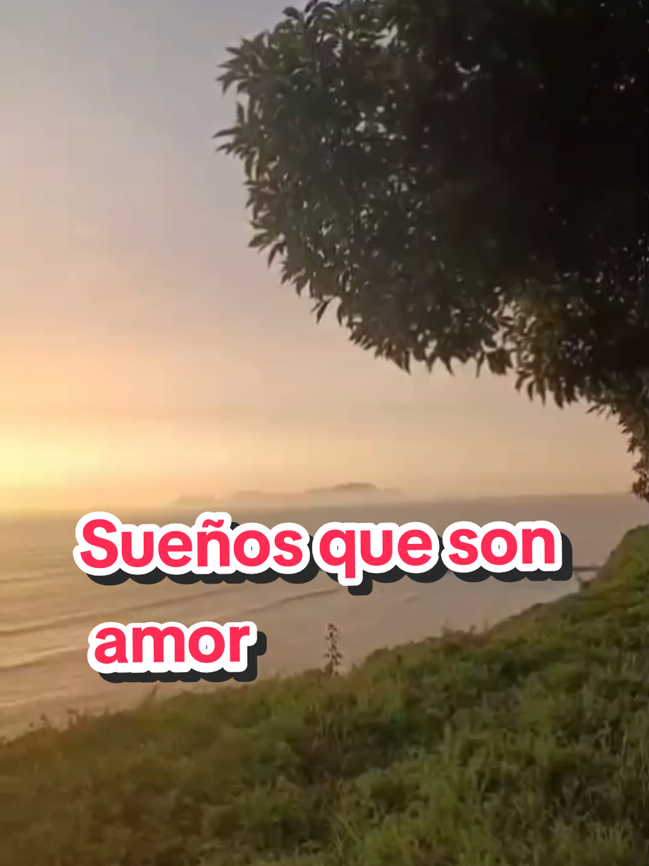 @Javi