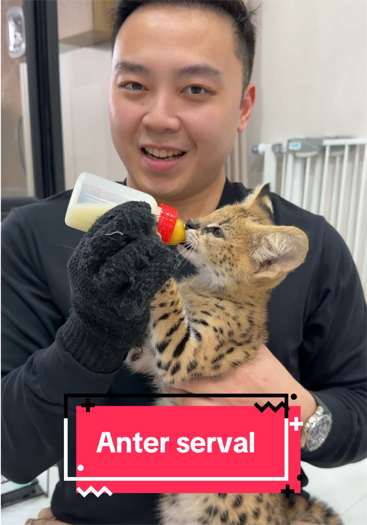 @Koko Guguk