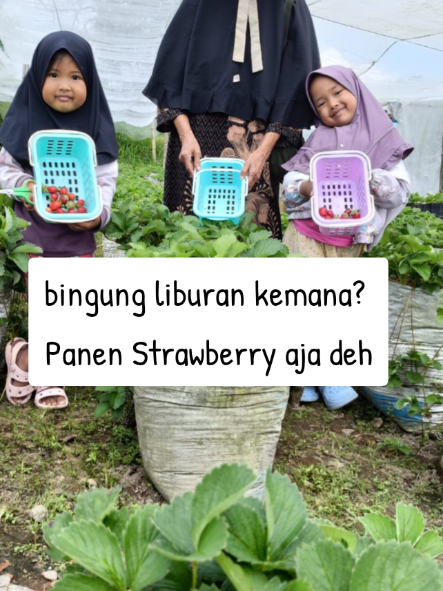 @Ladin Ecofarm
