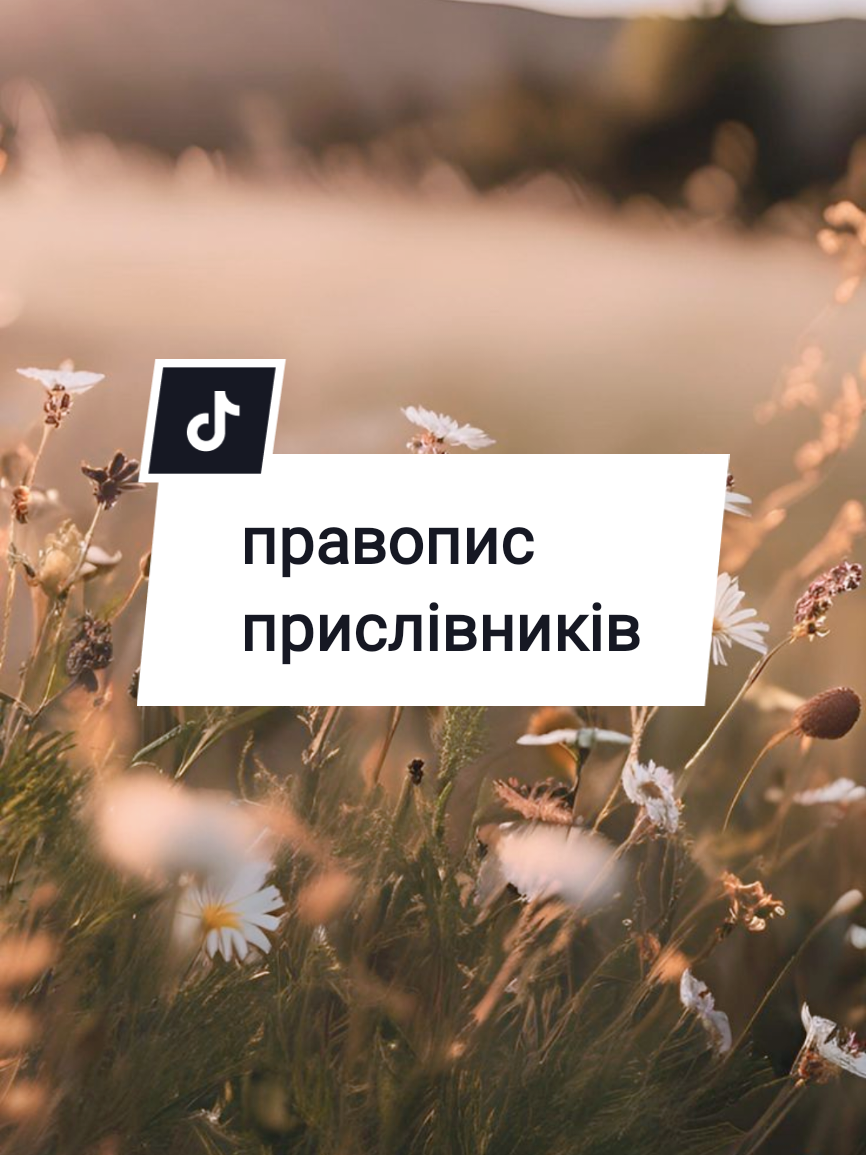 @Iryna Kovalenko
