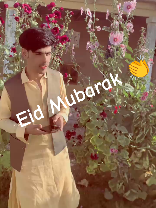 @Islamudin kakar