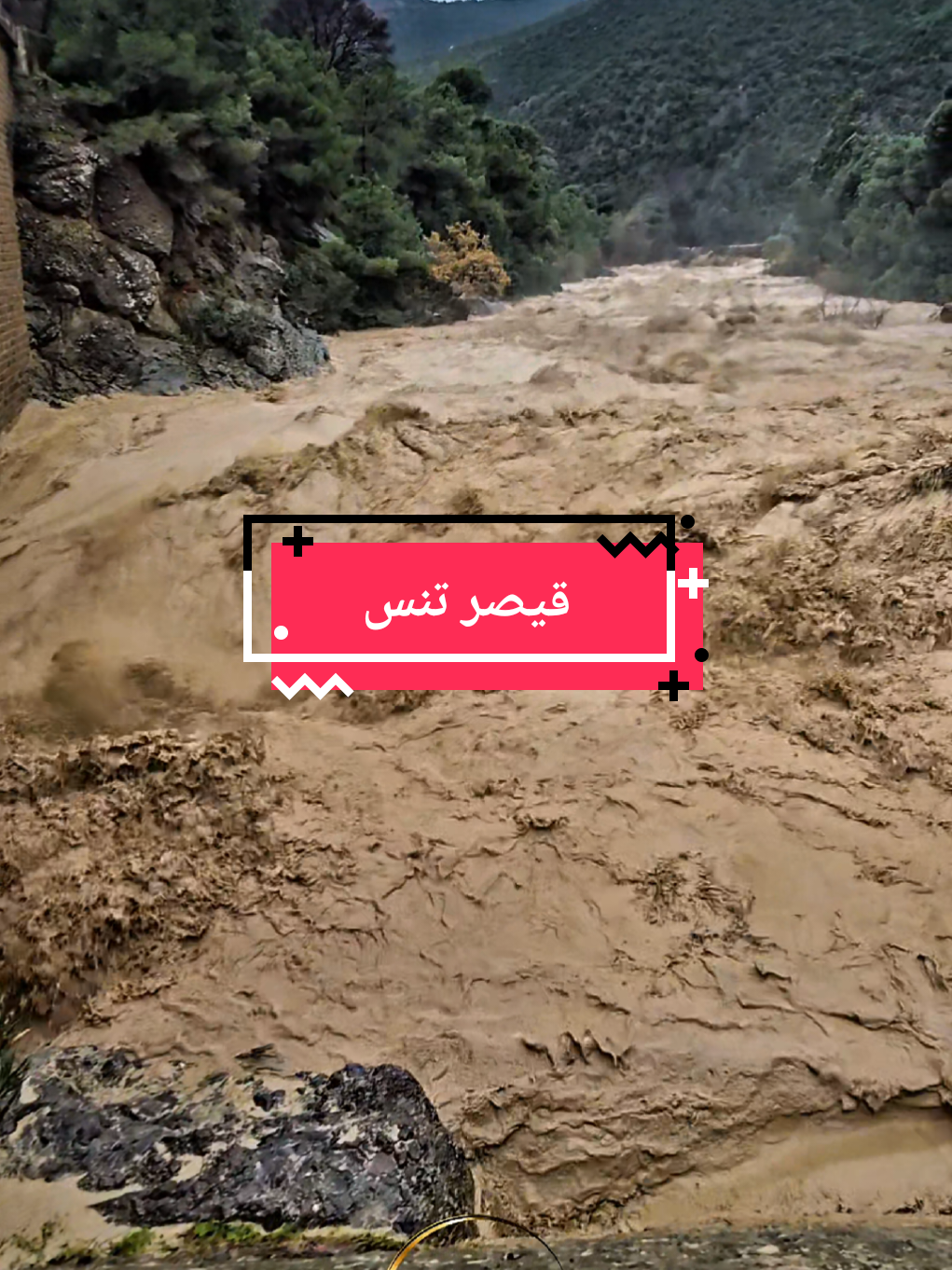 @⚓ 🇩🇿 тнє тєиєѕ&iota;єи 🇹🇳 ⚓