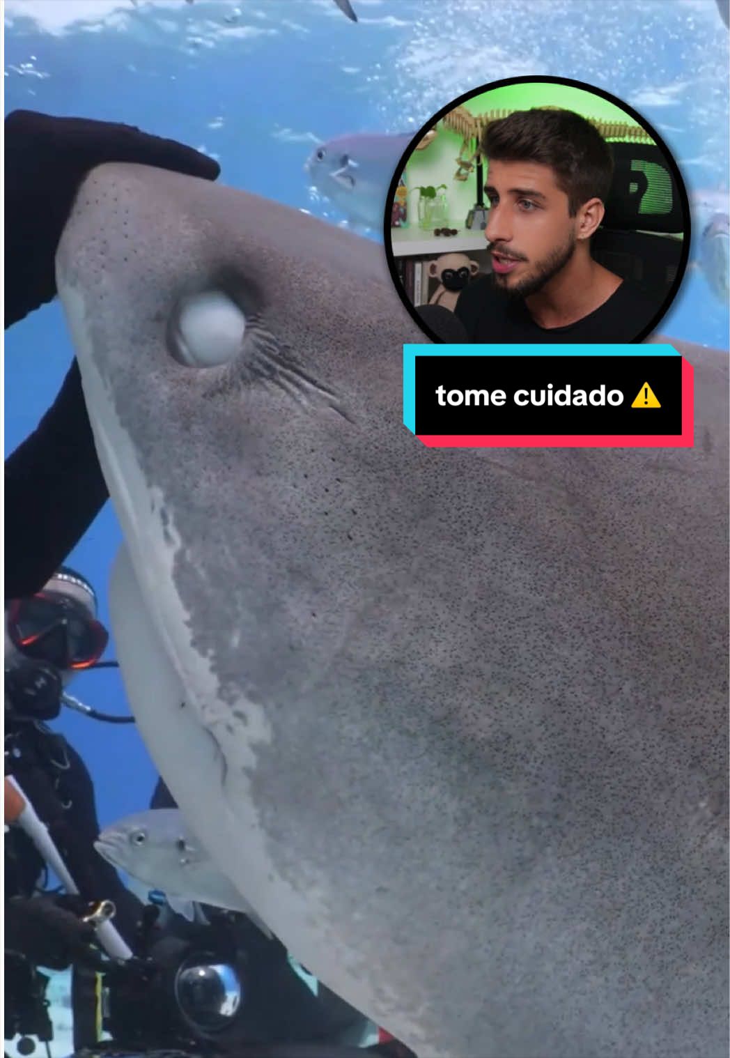 @Yago Stephano
