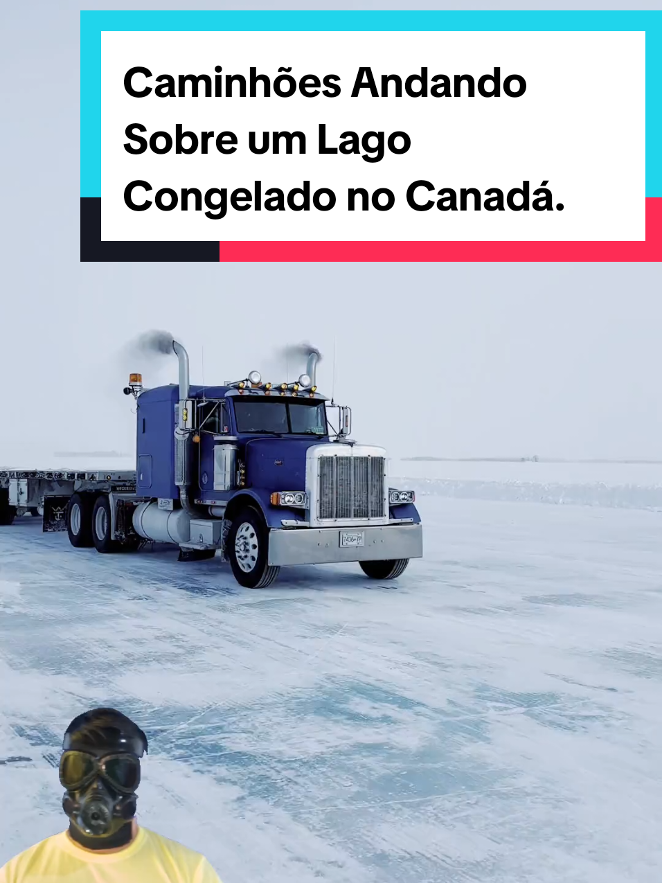 @Mundo da Curiosidades
