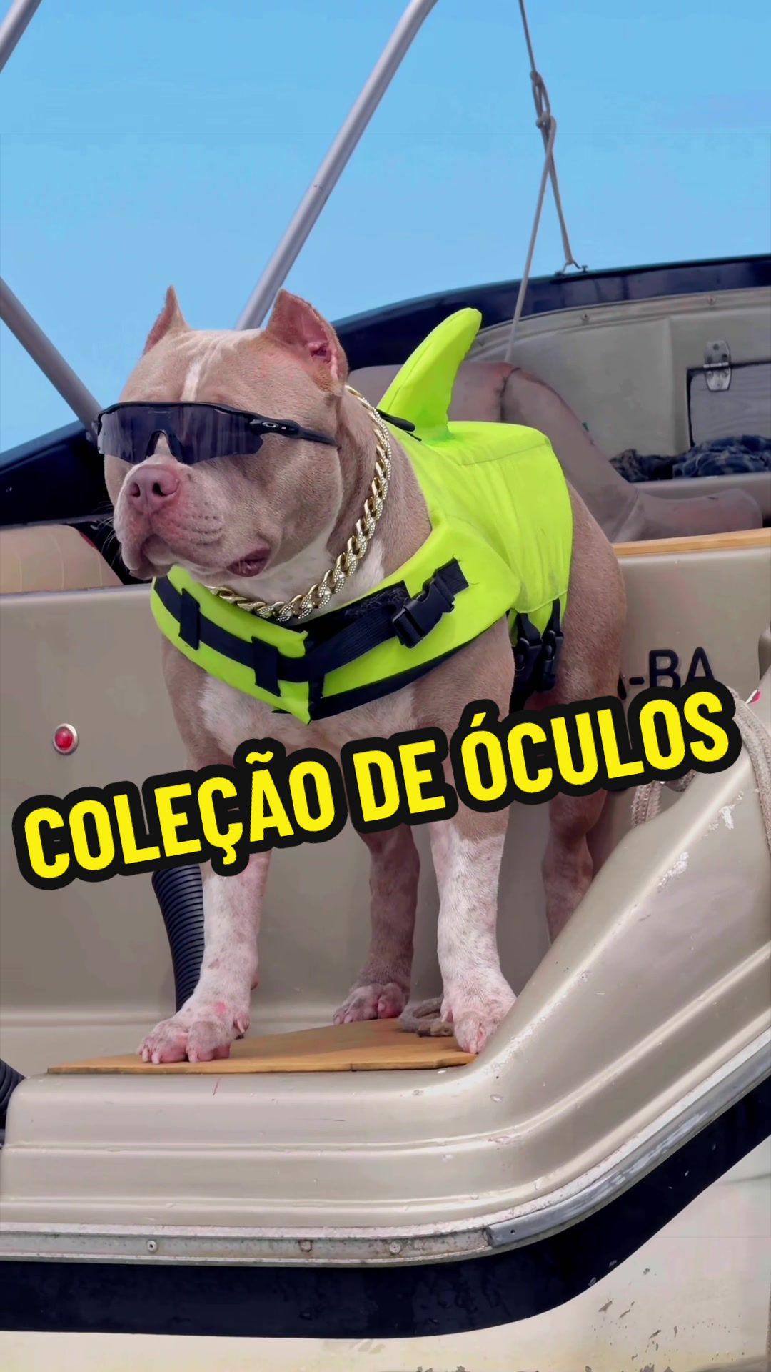 @Família Ragnar 🐶