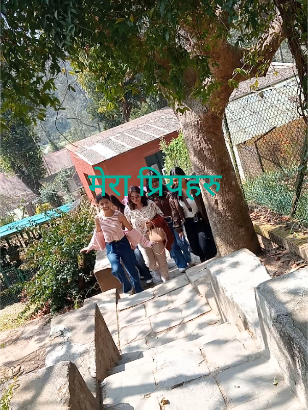 @Narayani Nepal827
