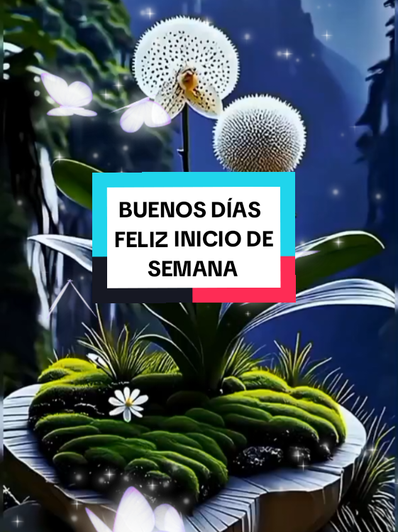 @chin@❤