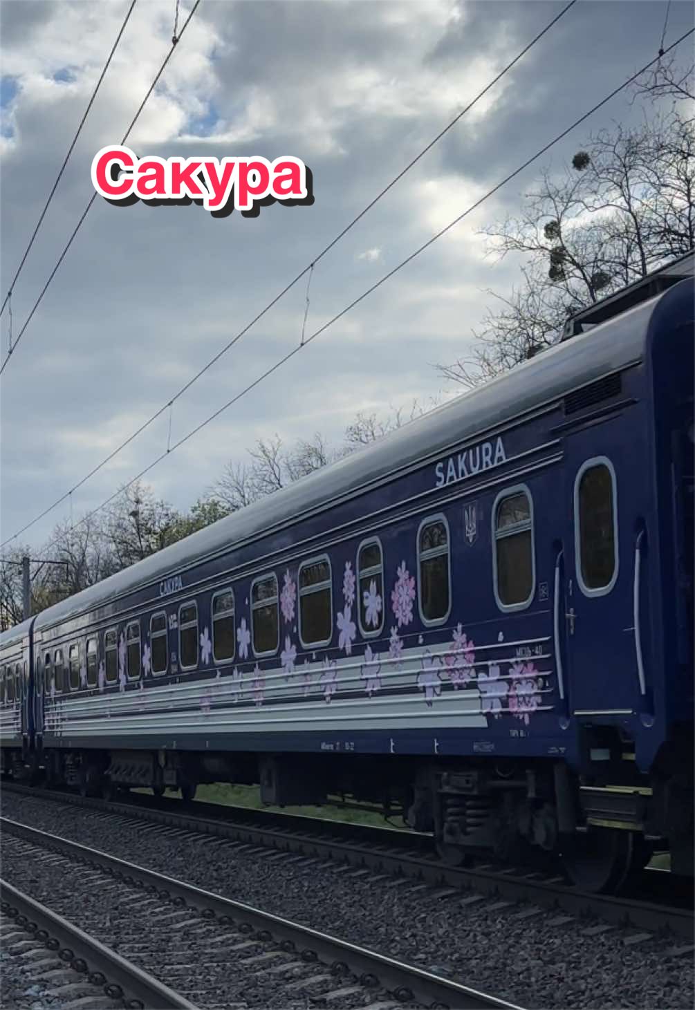 @𝗭𝗗𝗦𝗛𝗡𝗬