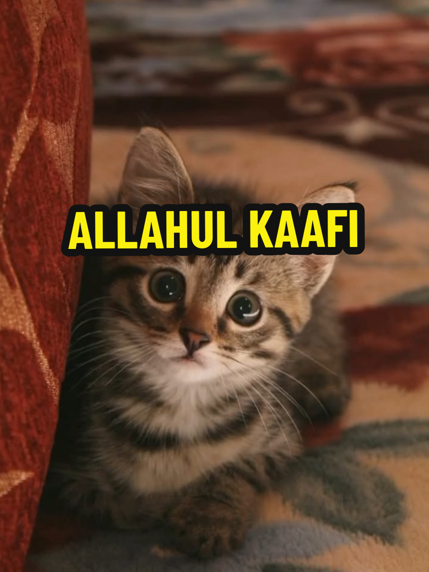 @MELATI BIRU