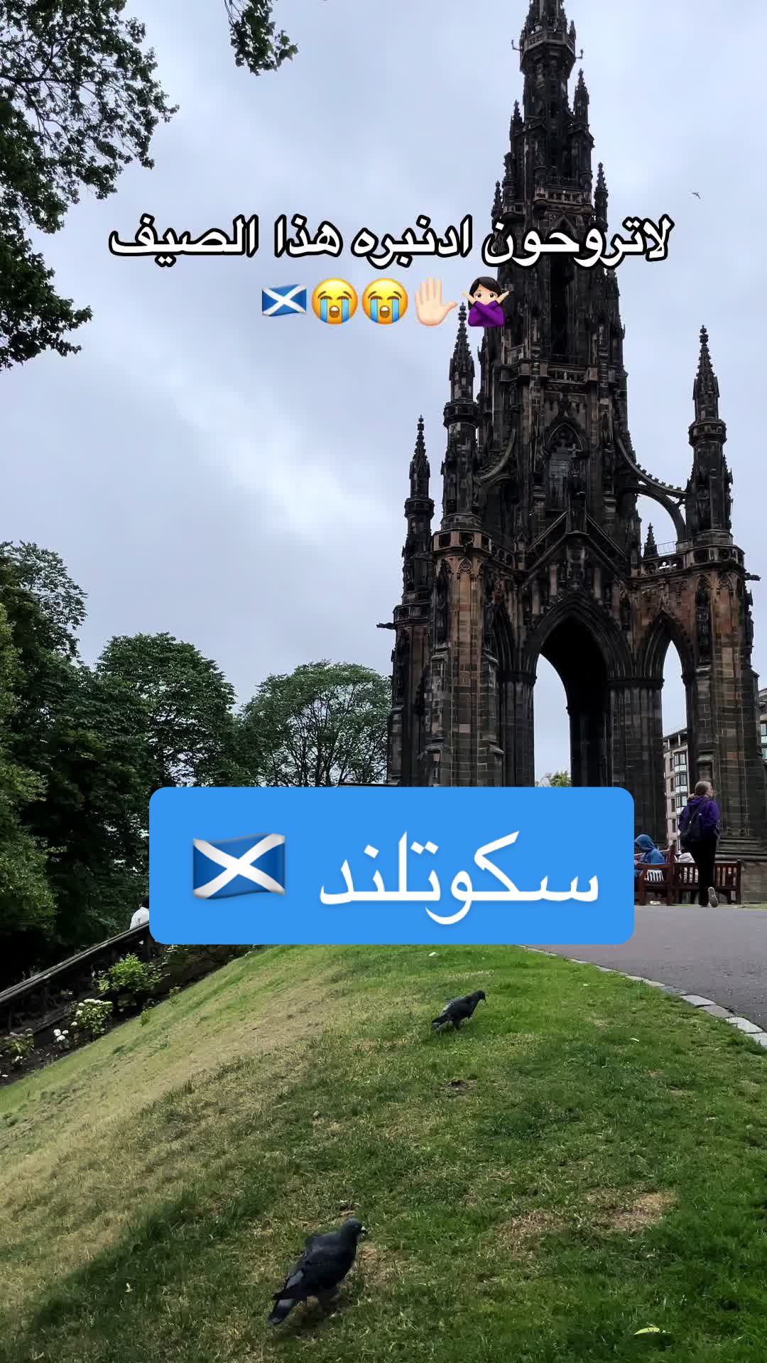 @Wejdan 🇸🇦🐪