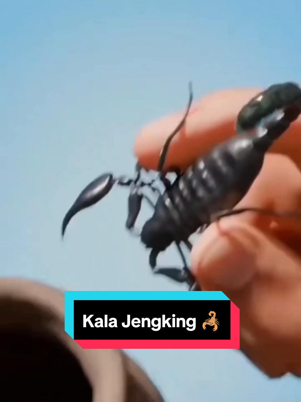 @Ben Chua