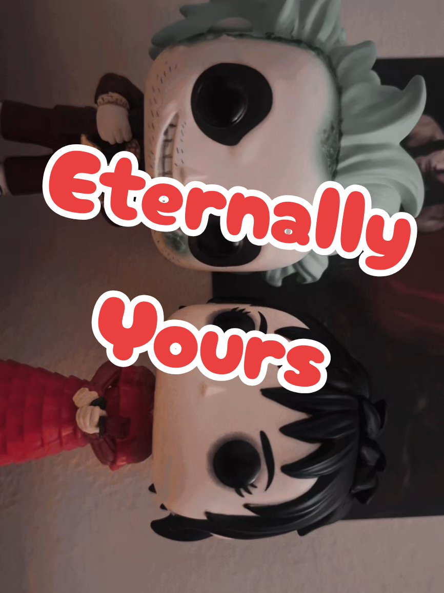 @Funko.Diaries